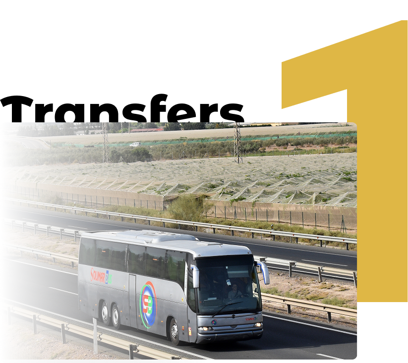 Solimar Bus